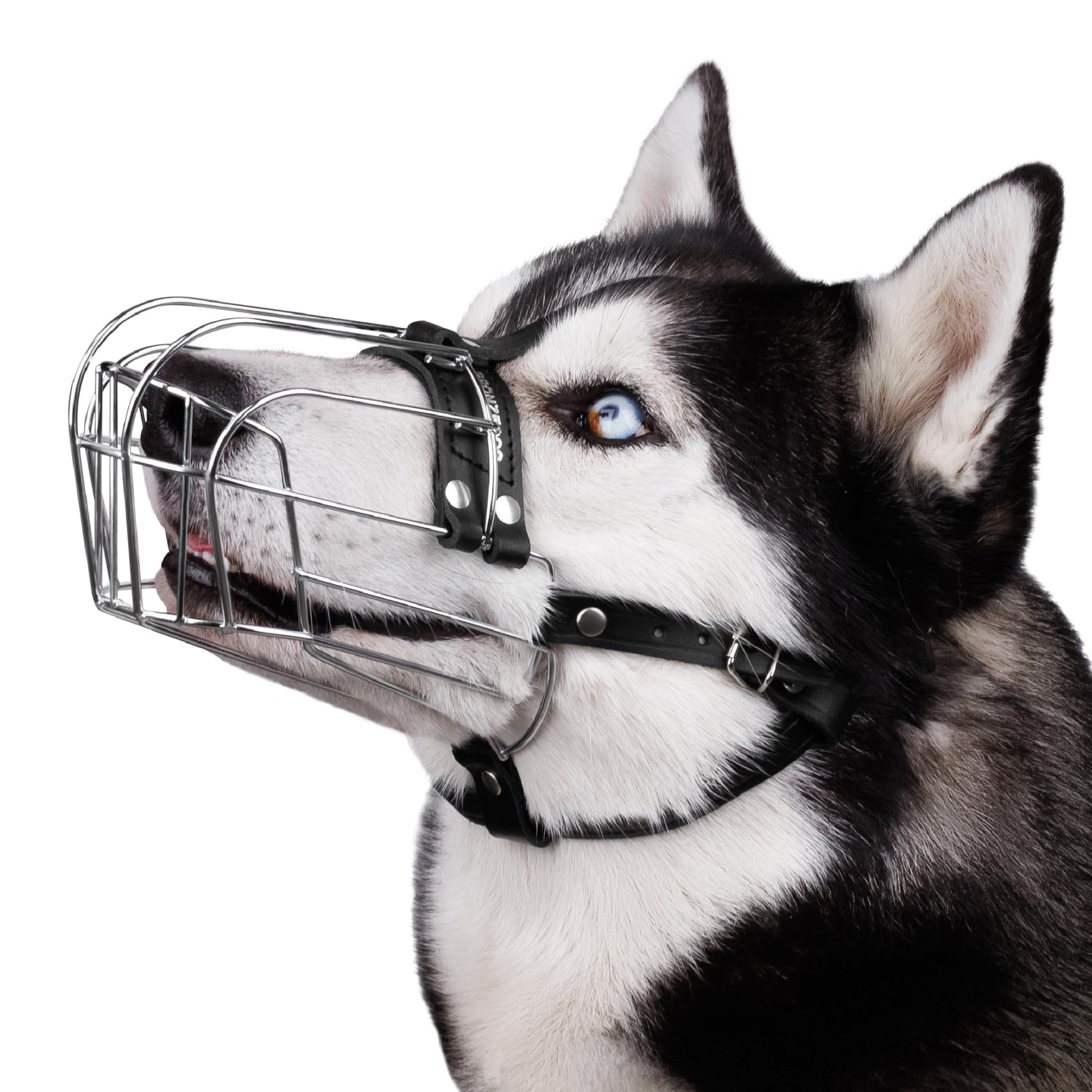 BRONZEDOG Hundemaulkorb,