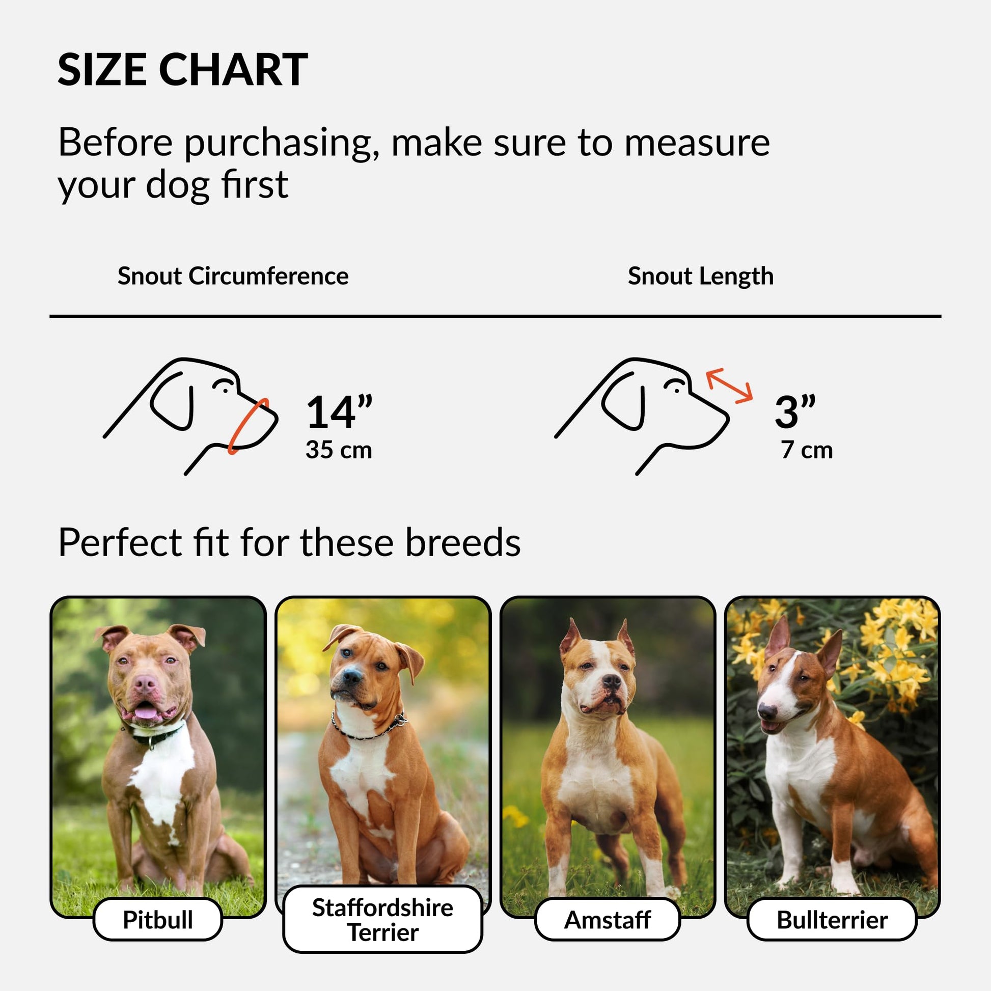 CollarDirect Pitbull Dog Muzzle Leather Amstaff Muzzles Staffordshire Terrier Secure Basket (Black)