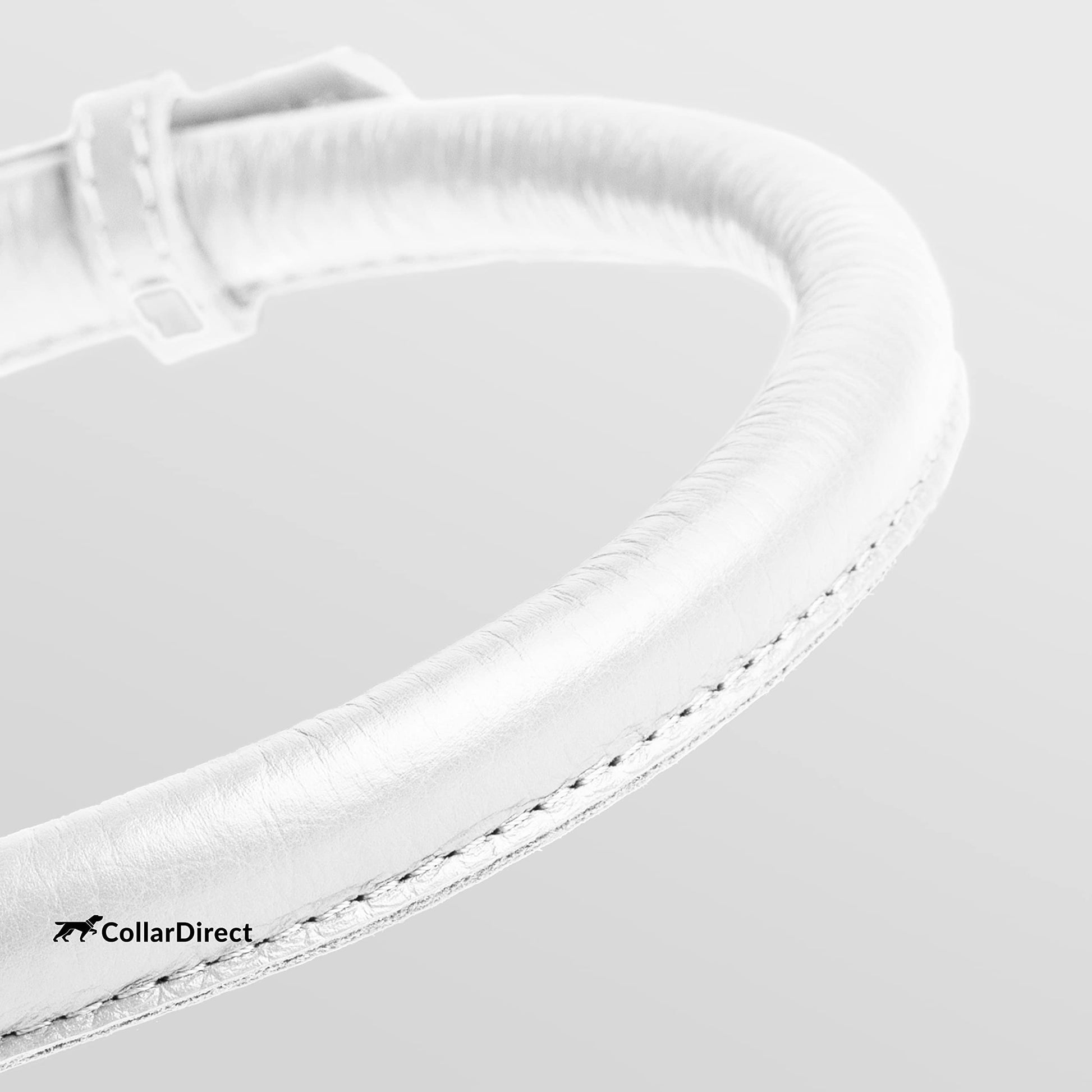 CollarDirect Gerolltes Leder-Hundehalsband