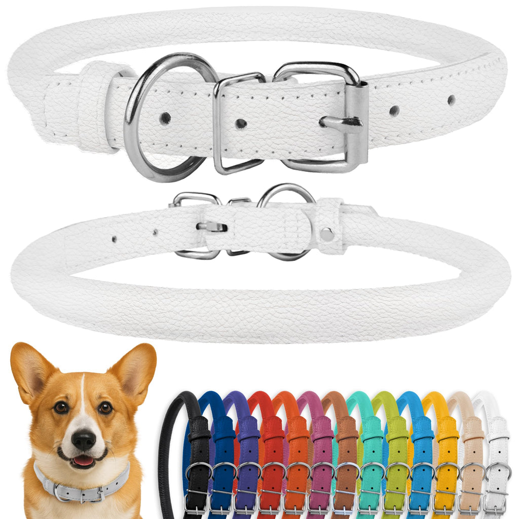 CollarDirect Gerolltes Leder-Hundehalsband