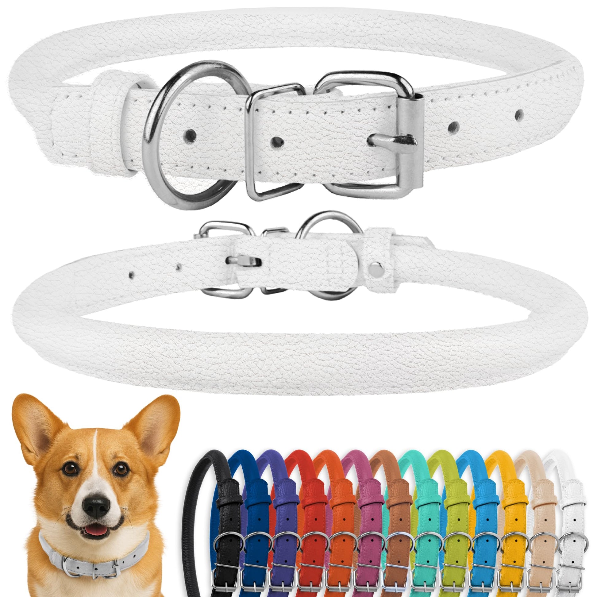 CollarDirect Gerolltes Leder-Hundehalsband