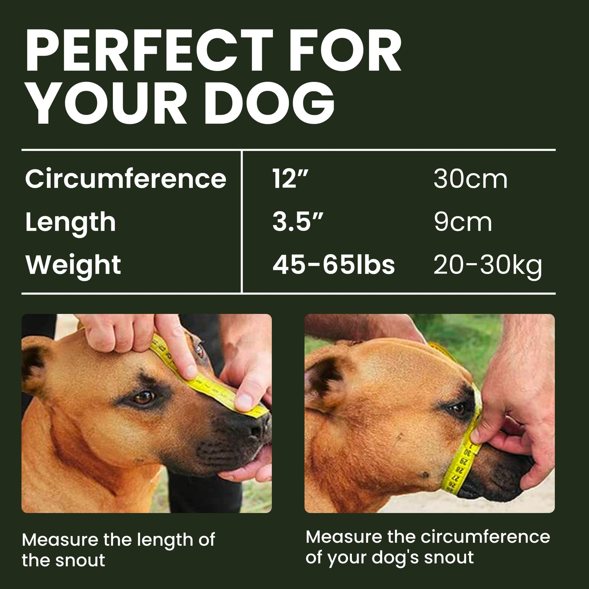 BRONZEDOG Pitbull-Hundemaulkorb aus Metall