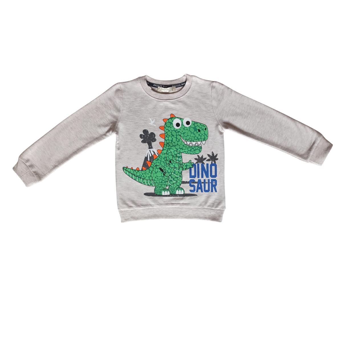 Jungen Sportset Dino, Große 92/116