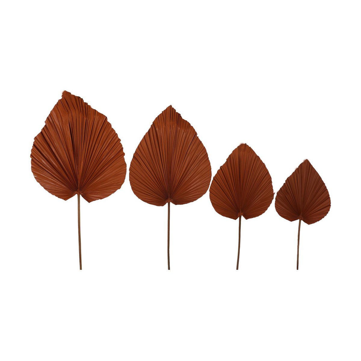 Dekoratives Palmblatt-Set mit 4 Stück – Cognac – Palmblatt