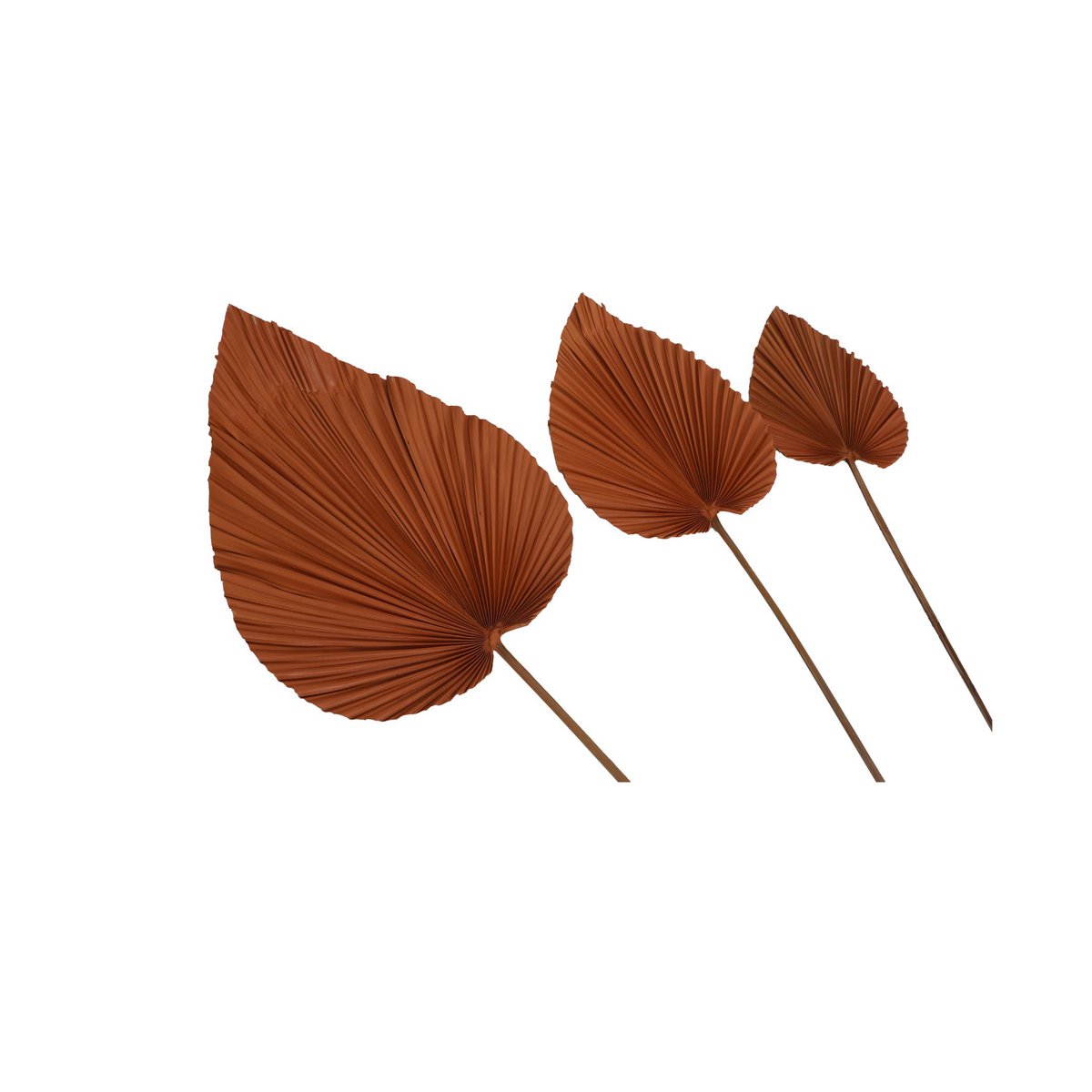 Dekoratives Palmblatt-Set mit 4 Stück – Cognac – Palmblatt