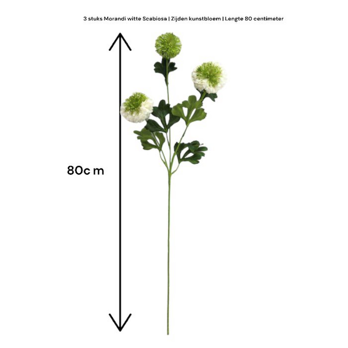 Scabiosa | Kunstblume aus Seide | Länge 80 cm Zentimeter